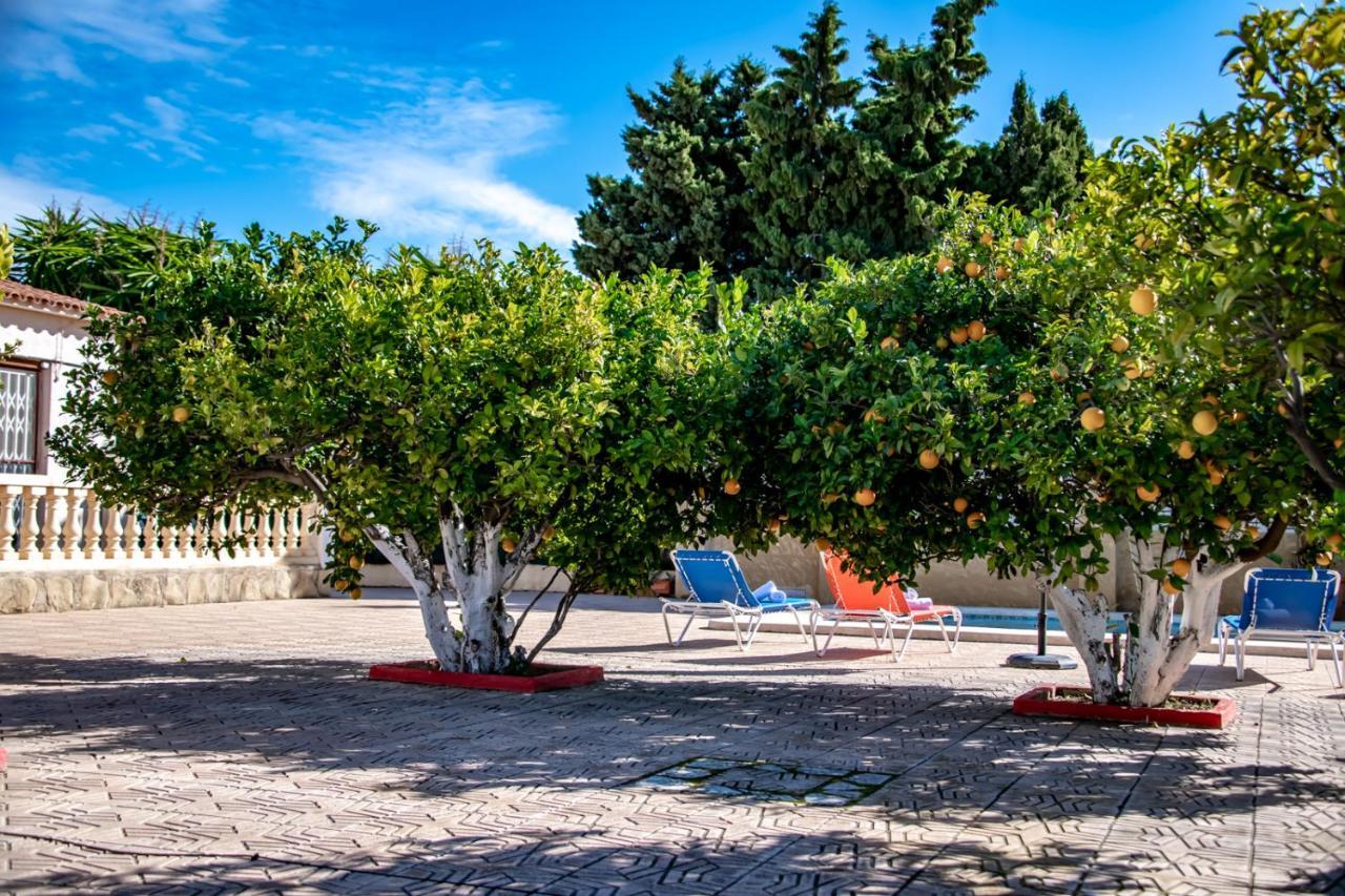 Villas Guzman Ismael Calpe Exteriör bild